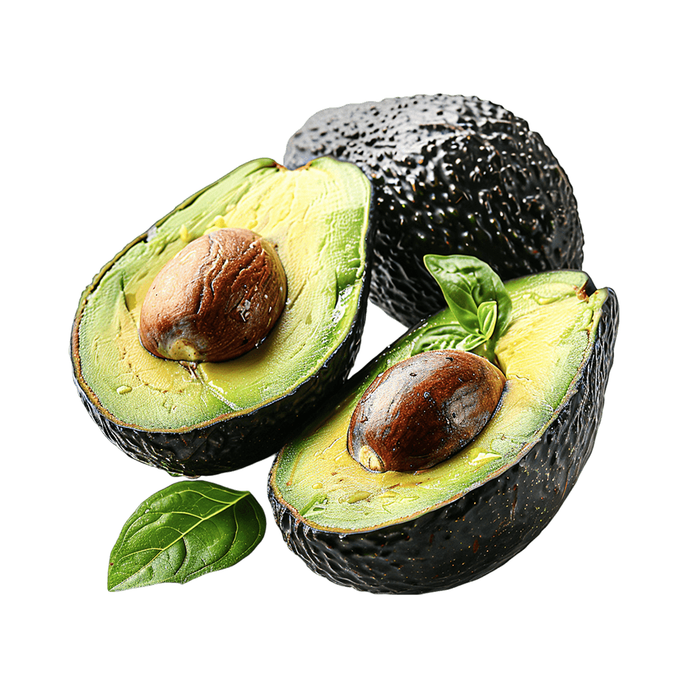 Fresh Avocado